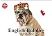 Produktbild English Bulldog XXL Models (Wandkalender 2019 DIN A2 quer): Starke Bulldoggen Models in "High Fashion"! (Geburtstagskalender, 14 Seiten ) (CALVENDO Tiere)