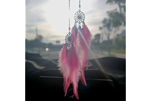 S_WAY Mini atrapasueños, pequeño atrapasueños para espejo retrovisor de coche, colgante de plumas, atrapasueños para decoración del hogar, accesorios para coche