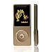 Produktbild chenfec 16 GB MP3 Player bluit-in Lautsprecher und 100 Stunden Hi-Fi verlustfreien Klang Musik Player mit Radio kann erweiterbar bis 64 GB Micro-SD-Karte