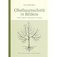 Obstbaumschnitt in Bildern: Kernobst - Steinobst - Beerensträucher - Veredlung