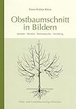 Obstbaumschnitt in Bildern by 