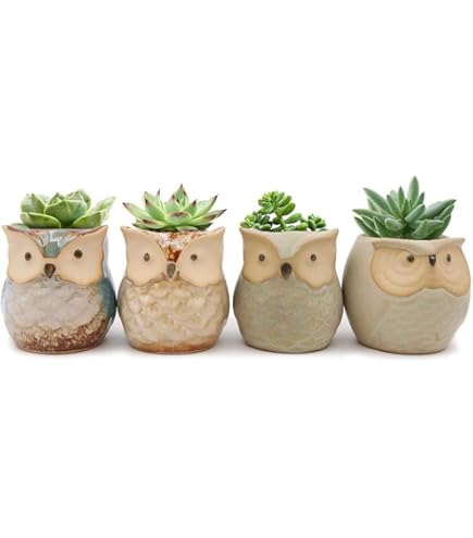 Support Pour Plantes En Forme De Grenouille, 5 Pièces IntiMeg - Jardiland