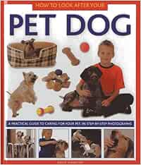 How To Look After Your Pet Dog A Practical Guide To Caring For Your Pet In Step By Step Photographs Amazon De Alderton David Fremdsprachige Bucher