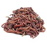 Humus gartenerde kaufen