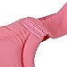 Baby Toddler Walking Harness Wing Belt Assistant (Pink)