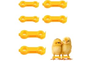 YAYNO 6 Stück Behandlungsringe für Gespreizte Beine von Vögeln Spreizbeine Hobble-Beinbänder Ringe Plastikgeflügel Beinringe für Kanarienvögel Kleinere Wellensittiche Kleine Wachteln, Orange