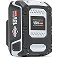 Briggs & Stratton 18V Lithium-Ion 2.5Ah Battery for Murray, Sprint 18V, with USB Port, 3-Year Warranty, 1697532