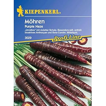 Möhren Purple Haze schwarze Urmöhre: Amazon.de: Garten