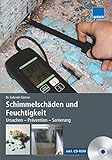 Image de Schimmelschäden und Feuchtigkeit: Ursachen - Prävention - Sanierung