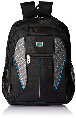 Albert and James Synthetic Black, Grey and Blue Laptop Bag RS.499 (75.00% Off) - Amazon