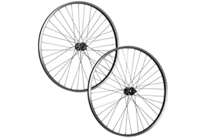 Taylor-Wheels 26 pollici set ruote bici Büchel raggi acciaio inossidabile disco 6 fori nero