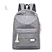 Produktbild ZZW Reise- und Freizeitrucksack, wasserdichter Segeltuch-ultraleichter Rucksack großer Kapazität Laptop mit USB-Ladeanschluss Rucksack Jugend Reiten Lernen Sport Schultasche (Color : Gray, Size : L)