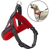 [Diseño economico] La correa ajustable (sólo del pecho) es para adaptar bien a su perro. Diseño deportivo, ergonómico con correas ajustables.