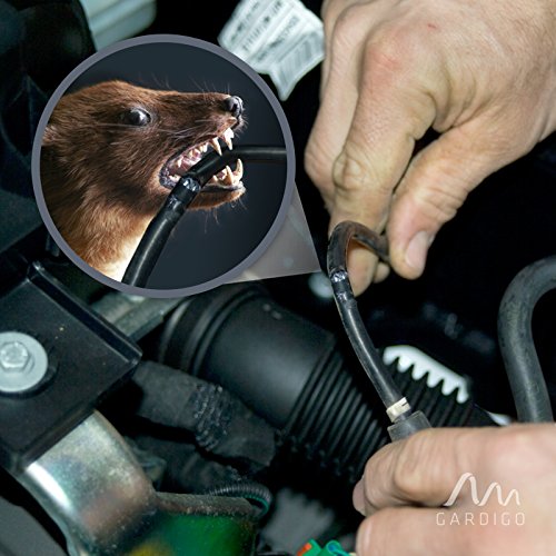 Marderschreck 12V - 3