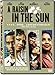 A Raisin in the Sun [Import italien]