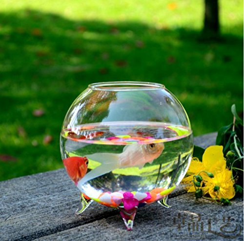 Generic Glas Hydroponischen mini Vase Kugel Mikro Landschaft DIY Flasche Terrarien Fisch Behälter 8cm - 4