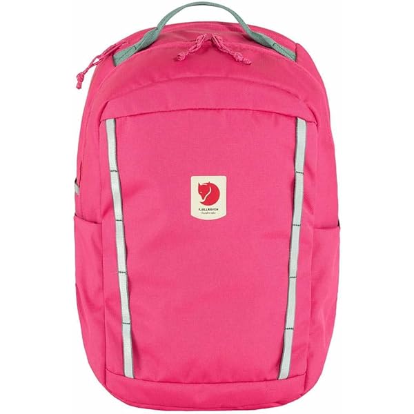 FJÄLLRÄVEN