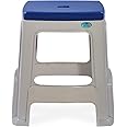 Nilkamal STL23 Strong and Durable Plastic Seating Stool for Home | Bedroom | Bathroom | Kitchen | Living Room | Office | Adult | Garden Stool with high Load Capacity (Silk Grey & Cobalt Blue)