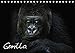 Produktbild Gorilla (Tischkalender 2019 DIN A5 quer): Gorillas, sensibel und nah fotografiert, kunstvolle und ausdrucksstarke Tierportraets (Monatskalender, 14 Seiten ) (CALVENDO Tiere)