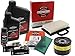Produktbild Wartungs Kit Briggs & Stratton Intek V-Twin, 18-25 PS V-2 Zyl. Intek
