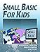 Small Basic For Kids: A Computer Programming Tutorial (English Edition) by