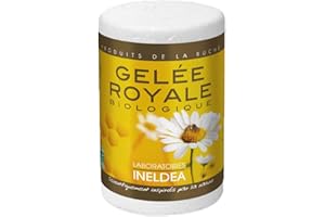 NUTRI EXPERT - Gelée Royale Bio Ecocert - 100% pure - Conditionnée en boîte isotherme sous atmosphère stérile - Renforce l'immunité - Réduit la fatigue - Pot de 25g avec cuillère doseuse intégrée