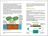 Image de Guide pratique de l'aquaponie - Produire ensemble légumes et poissons - Construire sa propre installation
