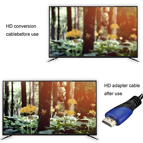 HDMI Kabel,LESHP Premium 10m Ultra HD 4k | High Speed with Ethernet | HDMI 1.4a kompatibel | 4K Ultra Full HD 1080p | 3D / ARC / CEC (Blau+Schwarz) - 7