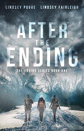 After The Ending (The Ending Series, #1) (English Edition)