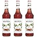 Produktbild Monin Sirup Zimt, 0,7L 3er Pack