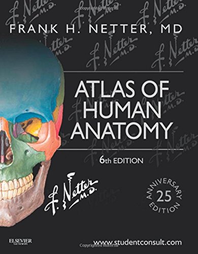 Download Pdf Atlas Of Human Anatomy Including Student Consult Interactive Ancillaries And Guides 6e Netter Basic Science Free Ko8huij76