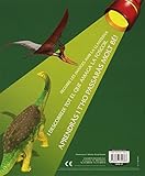 Image de Dinosaures (Llibre llanterna)