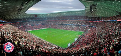 Rasch Panel - FC Bayern 889109 / 88910-9