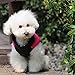 Zeagoo Waterproof Coat Jacket Winter Quilted Padded Puffer for Puppy Small Pet Dog