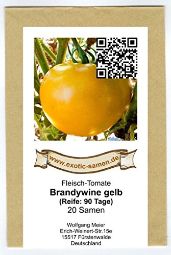 gelbe Riesen-Fleischtomate – reicher, köstlicher Geschmack – Brandywine gelb – 20 Samen - 2
