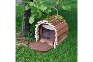 eBuzz Squirrel Hotel