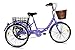 Produktbild Jorvik 20 Vintage Dutch Style Klappbarer Rahmen Trike Petite Erwachsene oder Kinder Cargo Dreirad erhältlich in verschiedenen Farben, violett