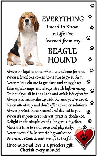 Fridge Magnets Beagle Lover (I Learned from my Beagle) Gift - Large Fun flexible size 16cms x 10 cms (approx. 6" x4")