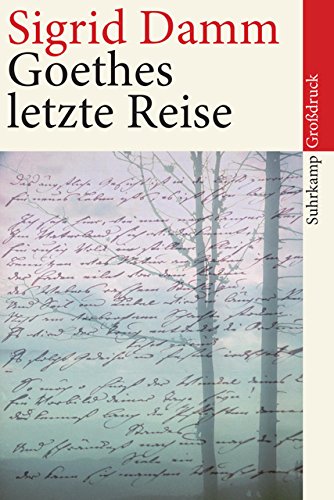 Cover zum Buch Goethes letzte Reise