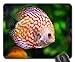 Produktbild Mouse Pads - Discus Fish Symphysodon Aequifasciatus Fish Nature