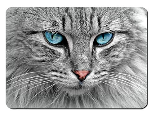 Preisvergleich Produktbild Mauspad Grey Cat Design