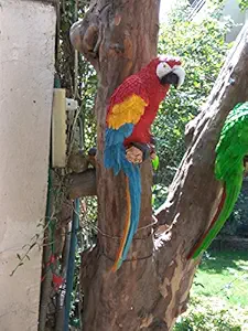 Wonderland Red 18.5 Inches Height large wall parrot in Red For Home / Garden & Outdoor decor , wall decoration, wall hanging, bird animal statue, balcony decor, kids room