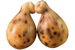 COSE DEL POSTO Scamorza ai Peperoni Cruschi di Senise IGP 300g | Scamorza al crusco