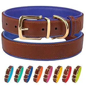 CollarDirect Leather Dog Collar Brass Buckle Soft Padded Puppy Small Medium Large Red Pink Blue Green Purple Yellow (Neck Fit 11