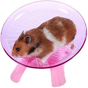 exoh Pet Flying Untertasse Laufrad Joggen Spielzeug (Pink)