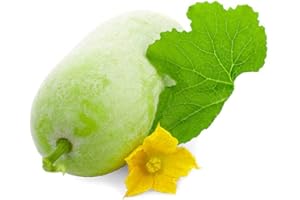 HUA XIAN ZI Melone invernale 50 semi di cera zucca peloso tondo tong giardino ortaggio biologico cinese semi di erbe verdi o piantare all'aperto per cucinare piatto zuppa