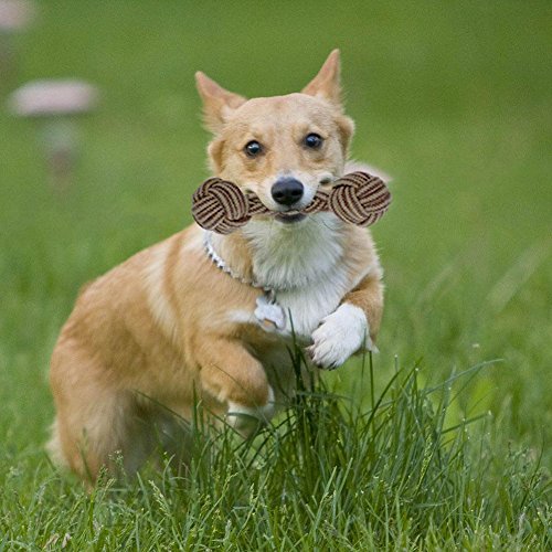 Lobeve-Dog-Chew-Toys-5-Pack-Gift-Set-Durable-puppy-Rope-Toy-Small-Set