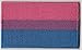 Produktbild Bi Pride Flagge bestickt Patch T4