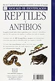 Image de Reptiles y Anfibios - Manuales de Identificacion