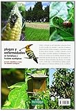 Image de Plagas y enfermedades en hortalizas y frutales ecológicos: prevenir, identificar y tratar con métodos ecoló